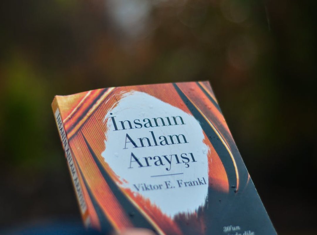 Interpretation and Meaning