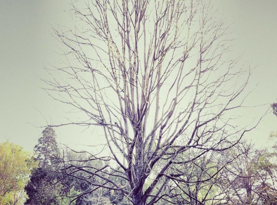 Putting 1.94 Metres into Perspective: How Tall Is It Really?