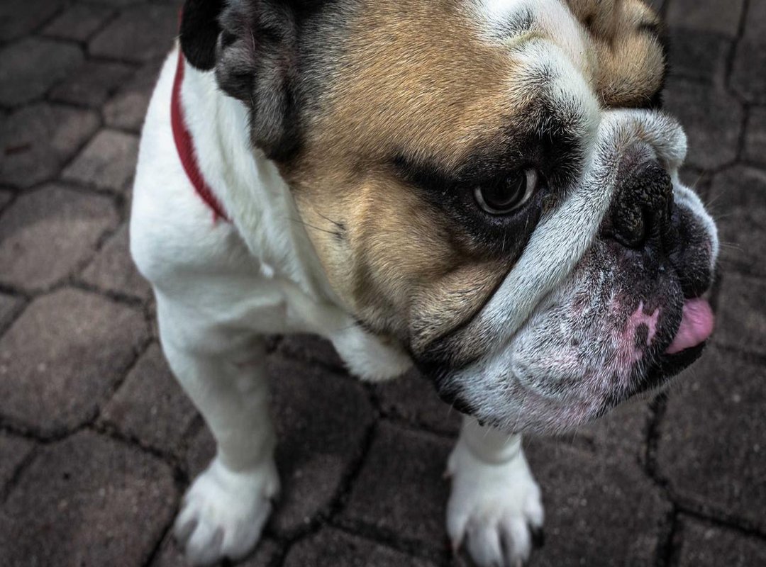 The Connection Explained: Why Their Names Are Linked