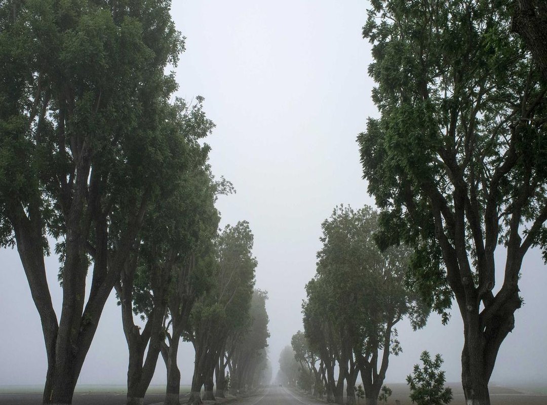 Public Fascination: Why Do These Images Capture Our Attention?