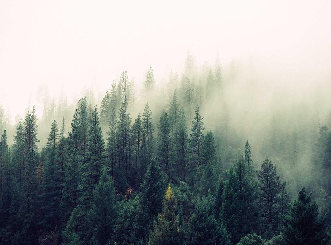 A Simple Guide to Using External Subtitle Files (.SRT)