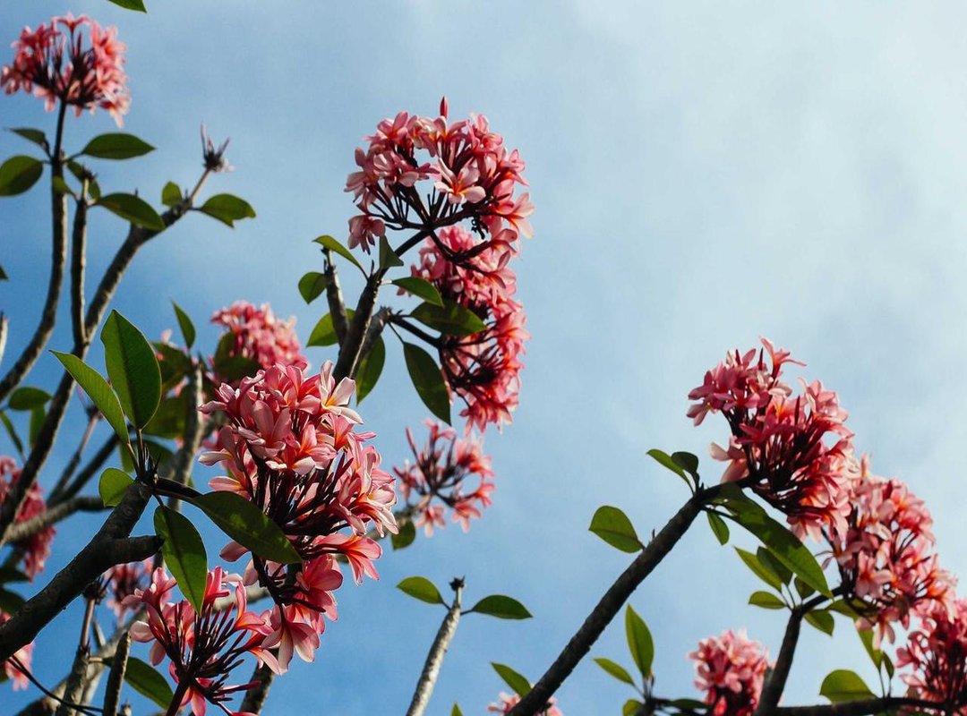 Beyond the Barbell: The Power of Community in Personal Growth