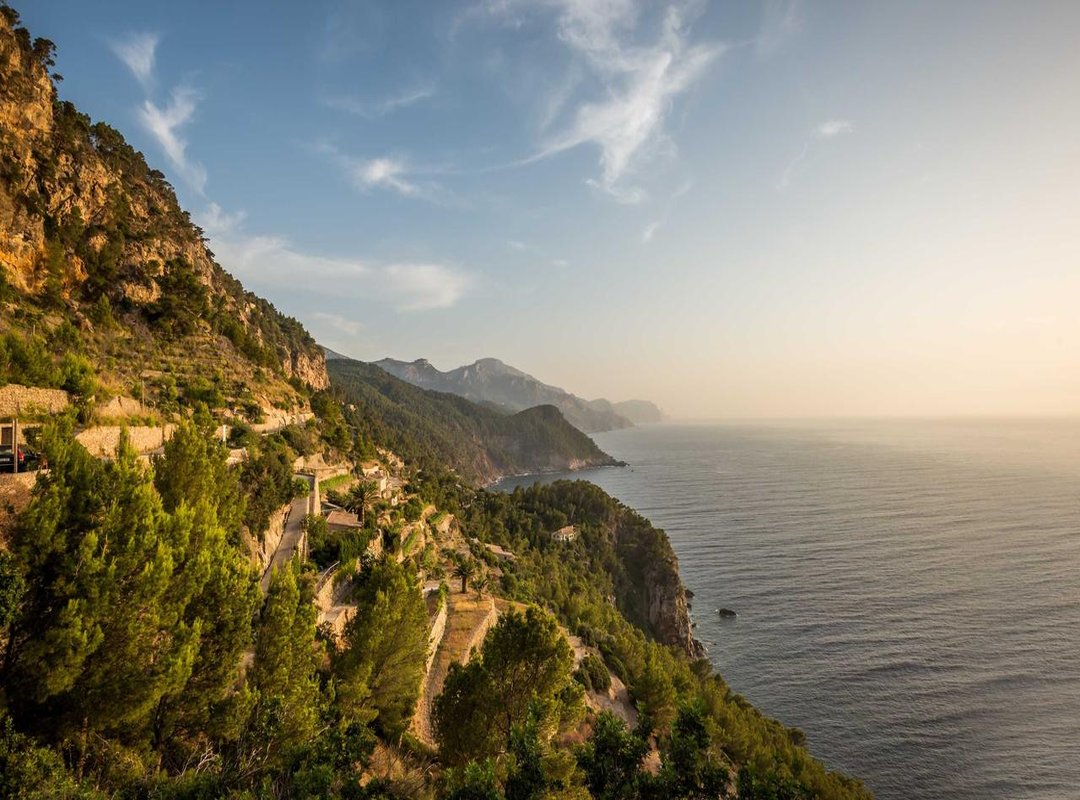 Step 3: Adding Color and Final Touches