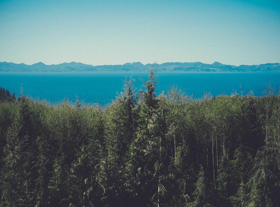 Becoming a LiveJasmin Model: The Sign-Up Process Explained