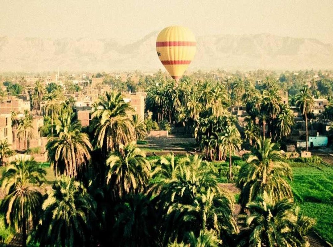 The Pros and Cons: Brand Trust vs. Store-Brand Value