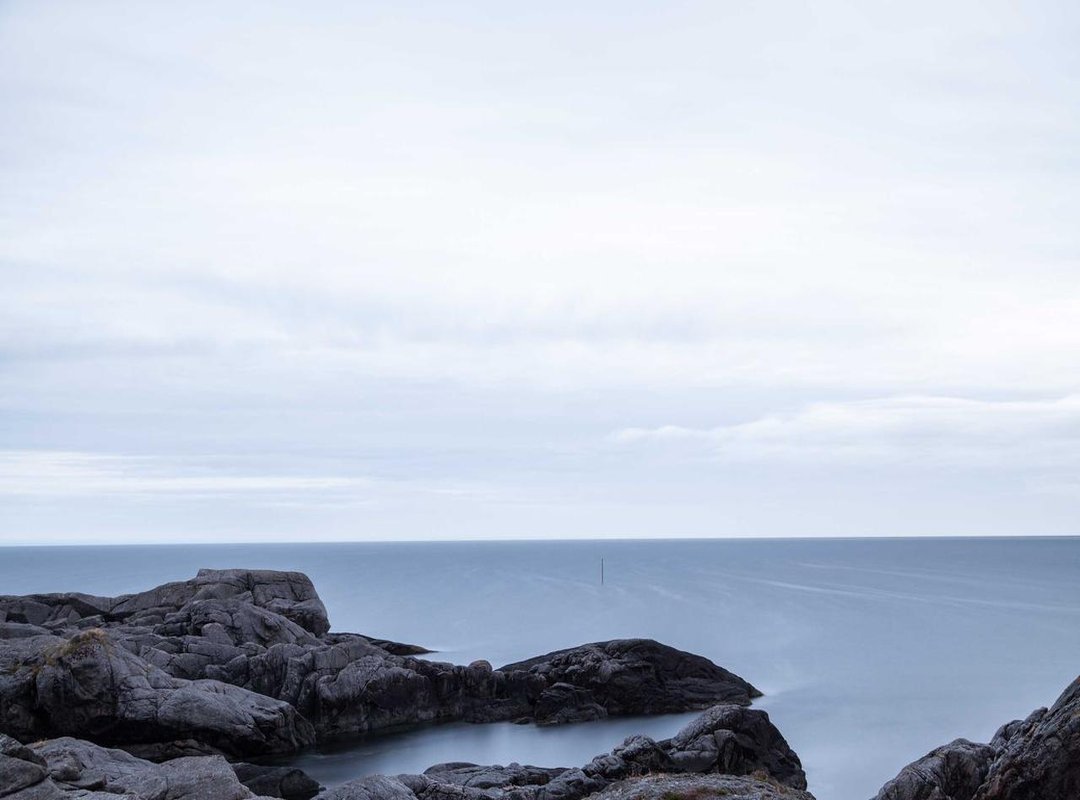 Pros vs. Cons: Is This Dual-Purpose Gadget Right for You?